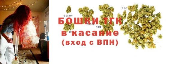 прущие крисы Бородино
