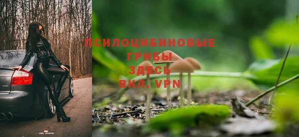 mdpv Богданович