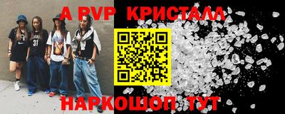 гашик Кингисепп