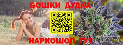 гашик Кингисепп