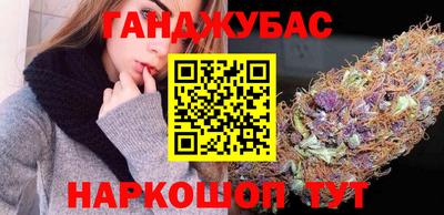 гашик Кингисепп
