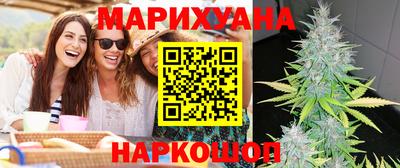 гашик Кингисепп