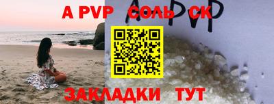 гашик Кингисепп