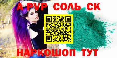 гашик Кингисепп