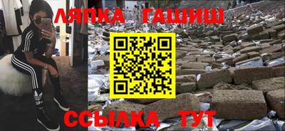 гашик Кингисепп