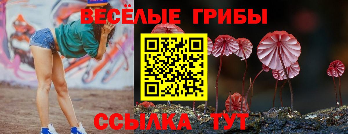 Саяногорск  Псилоцибиновые грибы ЛСД  Вход с VPN  наркота  Галлюциногенные грибы Psilocybe 
